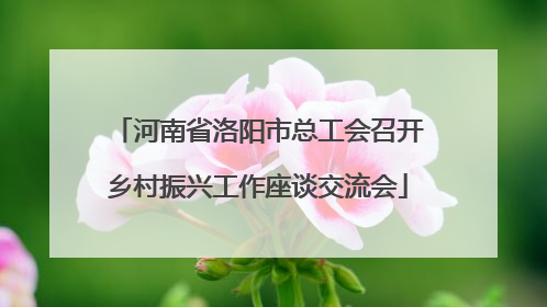 河南省洛阳市总工会召开乡村振兴工作座谈交流会