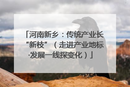 河南新乡：传统产业长“新枝”（走进产业地标·发展一线探变化）