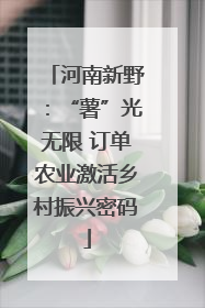 河南新野：“薯”光无限 订单农业激活乡村振兴密码