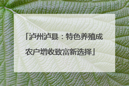 泸州泸县：特色养殖成农户增收致富新选择