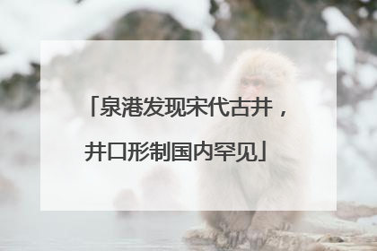 泉港发现宋代古井，井口形制国内罕见