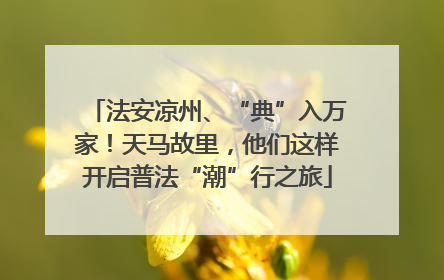 法安凉州、“典”入万家！天马故里，他们这样开启普法“潮”行之旅