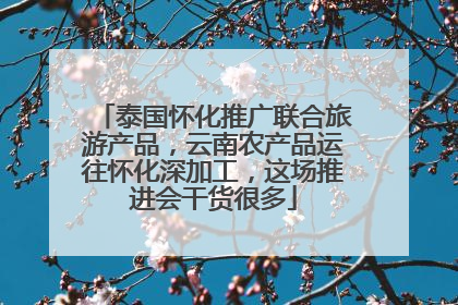 泰国怀化推广联合旅游产品，云南农产品运往怀化深加工，这场推进会干货很多