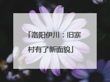 洛阳伊川：旧寨村有了新面貌