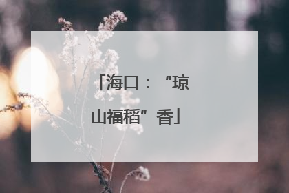 海口：“琼山福稻”香