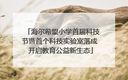 海尔希望小学首届科技节暨首个科技实验室落成 开启教育公益新生态