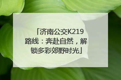 济南公交K219路线：奔赴自然，解锁多彩郊野时光