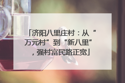 济阳八里庄村：从“万元村”到“新八里”，强村富民路正宽