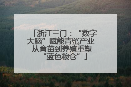 浙江三门：“数字大脑”赋能青蟹产业 从育苗到养殖重塑“蓝色粮仓”
