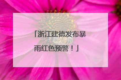 浙江建德发布暴雨红色预警！