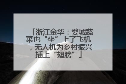 浙江金华：婺城蔬菜也“坐”上了飞机，无人机为乡村振兴插上“翅膀”