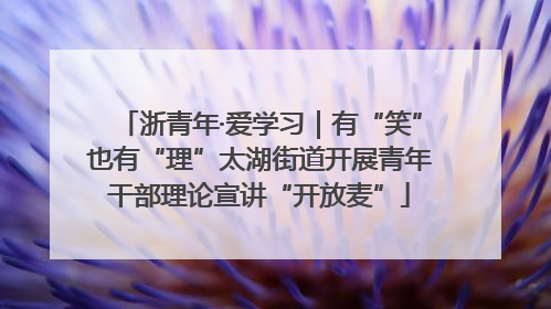 浙青年·爱学习｜有“笑”也有“理”太湖街道开展青年干部理论宣讲“开放麦”