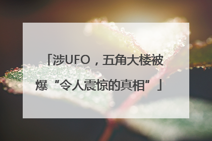 涉UFO，五角大楼被爆“令人震惊的真相”