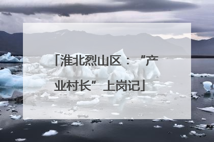 淮北烈山区：“产业村长”上岗记