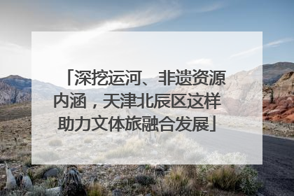 深挖运河、非遗资源内涵，天津北辰区这样助力文体旅融合发展