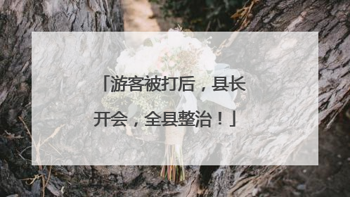 游客被打后，县长开会，全县整治！