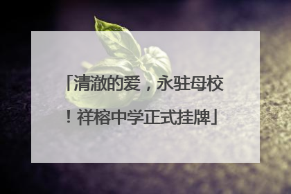清澈的爱，永驻母校！祥榕中学正式挂牌
