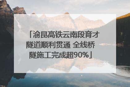 渝昆高铁云南段育才隧道顺利贯通 全线桥隧施工完成超90%