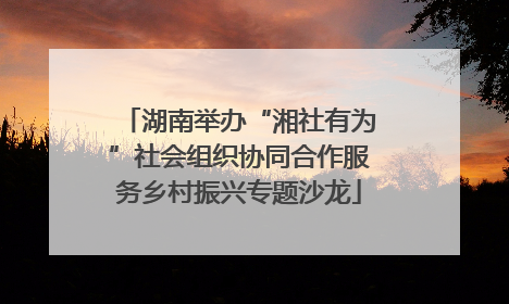湖南举办“湘社有为”社会组织协同合作服务乡村振兴专题沙龙