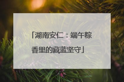 湖南安仁：端午粽香里的藏蓝坚守