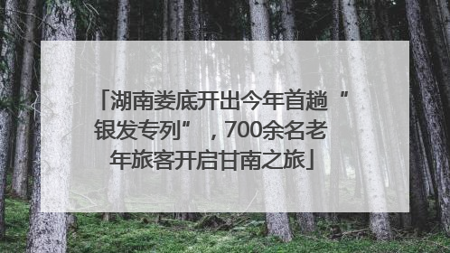 湖南娄底开出今年首趟“银发专列”，700余名老年旅客开启甘南之旅