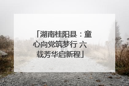 湖南桂阳县：童心向党筑梦行 六载芳华启新程