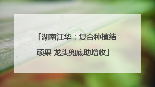 湖南江华：复合种植结硕果 龙头兜底助增收