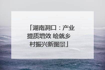 湖南洞口：产业提质增效 绘就乡村振兴新图景