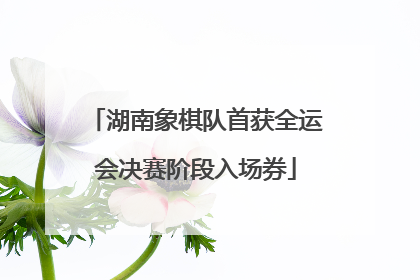湖南象棋队首获全运会决赛阶段入场券