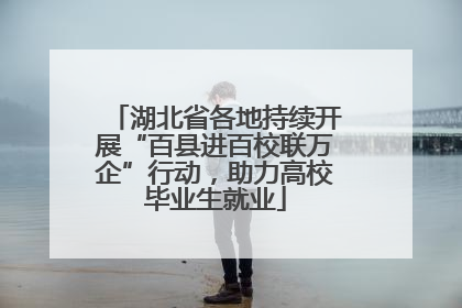 湖北省各地持续开展“百县进百校联万企”行动，助力高校毕业生就业