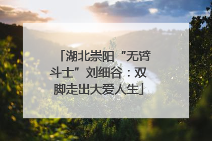 湖北崇阳“无臂斗士”刘细谷：双脚走出大爱人生