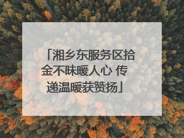 湘乡东服务区拾金不昧暖人心 传递温暖获赞扬