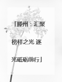 滕州：汇聚榜样之光 逐光砥砺前行