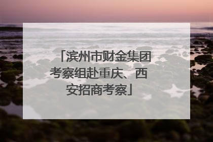 滨州市财金集团考察组赴重庆、西安招商考察