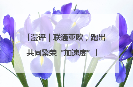 漫评｜联通亚欧，跑出共同繁荣“加速度”