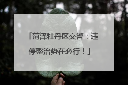 菏泽牡丹区交警：违停整治势在必行！