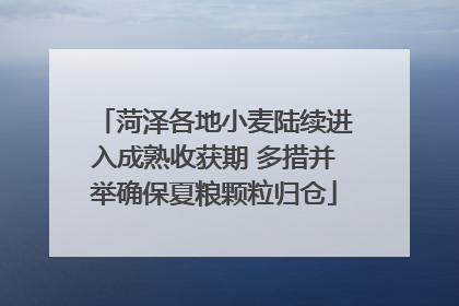 菏泽各地小麦陆续进入成熟收获期 多措并举确保夏粮颗粒归仓