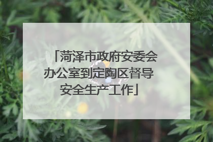 菏泽市政府安委会办公室到定陶区督导安全生产工作