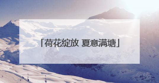 荷花绽放 夏意满塘