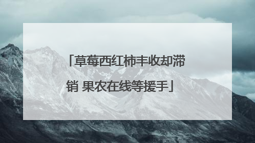 草莓西红柿丰收却滞销 果农在线等援手