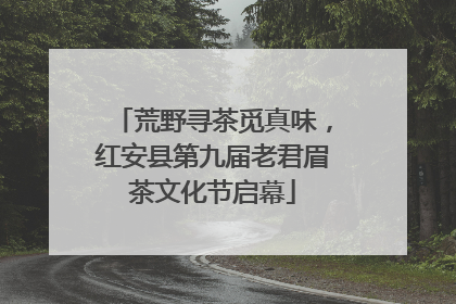 荒野寻茶觅真味，红安县第九届老君眉茶文化节启幕