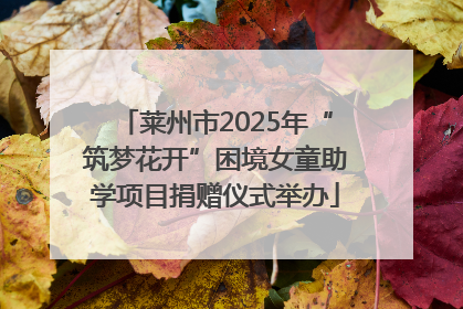莱州市2025年“筑梦花开”困境女童助学项目捐赠仪式举办