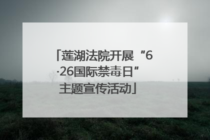莲湖法院开展“6·26国际禁毒日”主题宣传活动