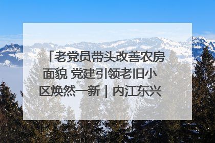老党员带头改善农房面貌 党建引领老旧小区焕然一新｜内江东兴“红”在哪？④