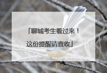 聊城考生看过来！这份提醒请查收