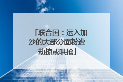 联合国：运入加沙的大部分面粉遭劫掠或哄抢