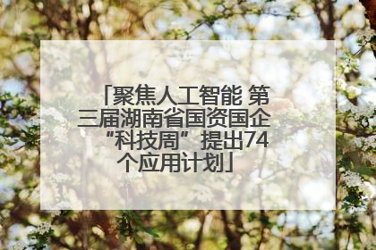 聚焦人工智能 第三届湖南省国资国企“科技周”提出74个应用计划