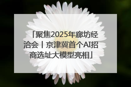 聚焦2025年廊坊经洽会丨京津冀首个AI招商选址大模型亮相