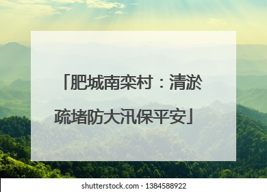 肥城南栾村：清淤疏堵防大汛保平安