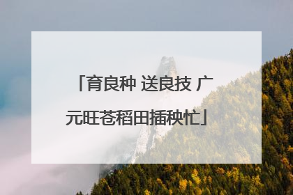 育良种 送良技 广元旺苍稻田插秧忙